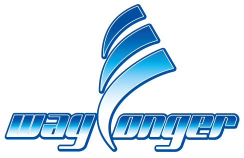 工程监理工程师_监理公司收入(2)